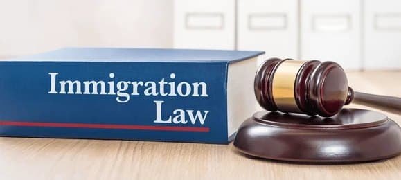 Immigration Law