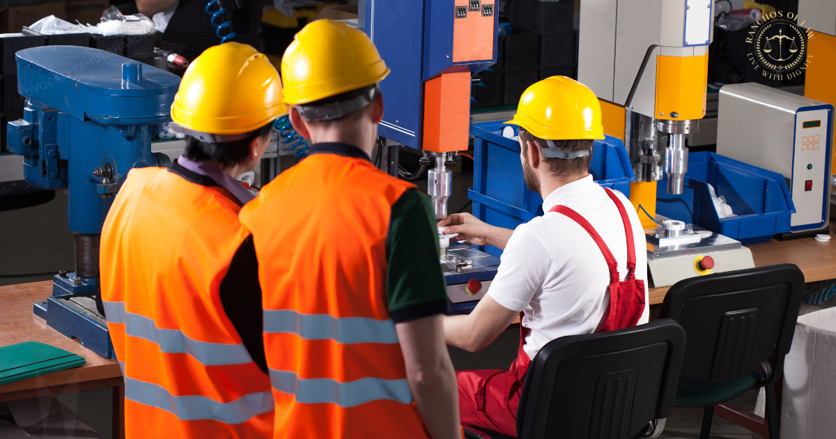 Labour & Employment Lawyer